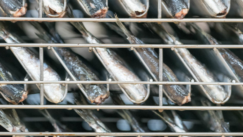La Compagnie Bretonne sardines